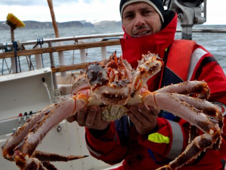 King Crab Safari